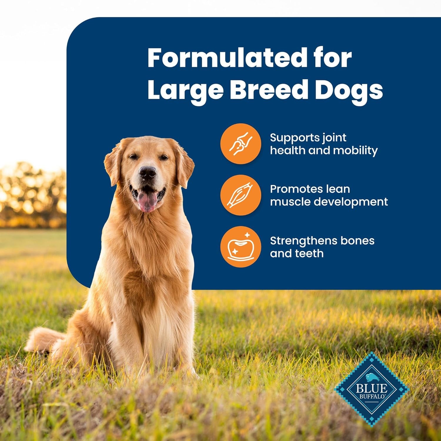 Life Protection Formula Large Breed Adult Dry Dog Food - Chicken & Brown Rice, 30 lb Bag - Supports Joint Health and Promotes Lean Muscle with Natural Ingredients